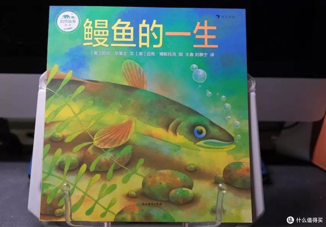 上网课在家看什么？五套科普逻辑书籍让孩子搞搞脑子~头脑风暴起来！