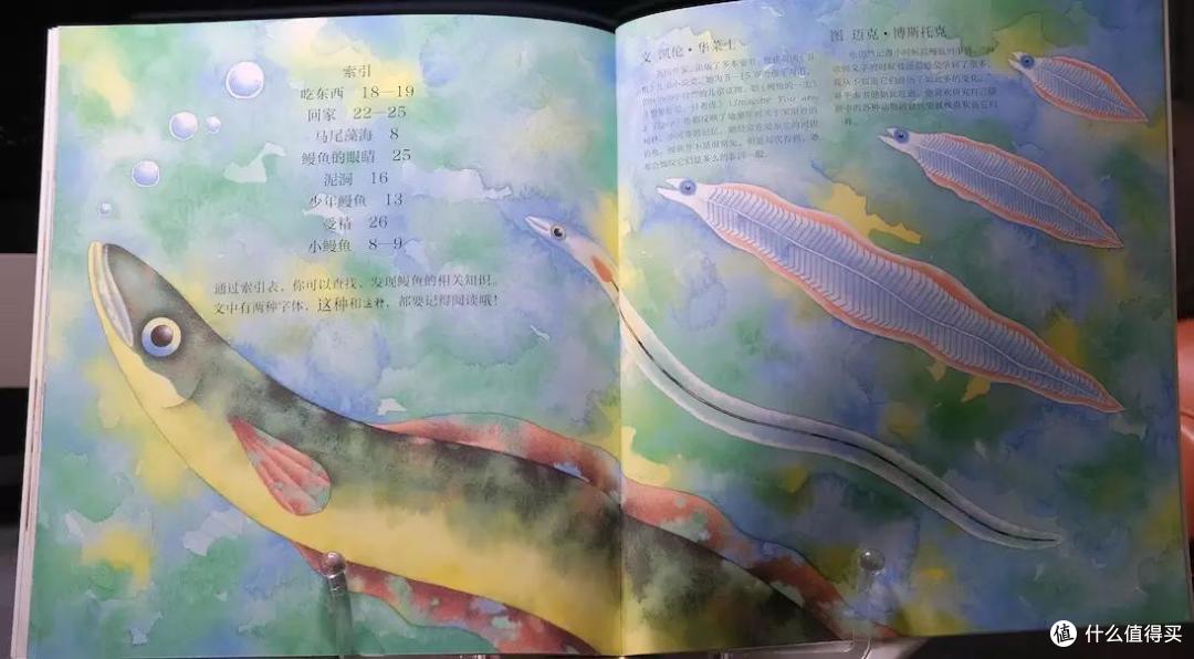 上网课在家看什么？五套科普逻辑书籍让孩子搞搞脑子~头脑风暴起来！