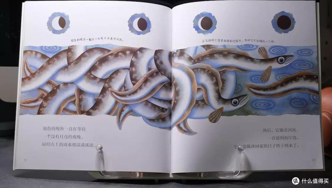 上网课在家看什么？五套科普逻辑书籍让孩子搞搞脑子~头脑风暴起来！