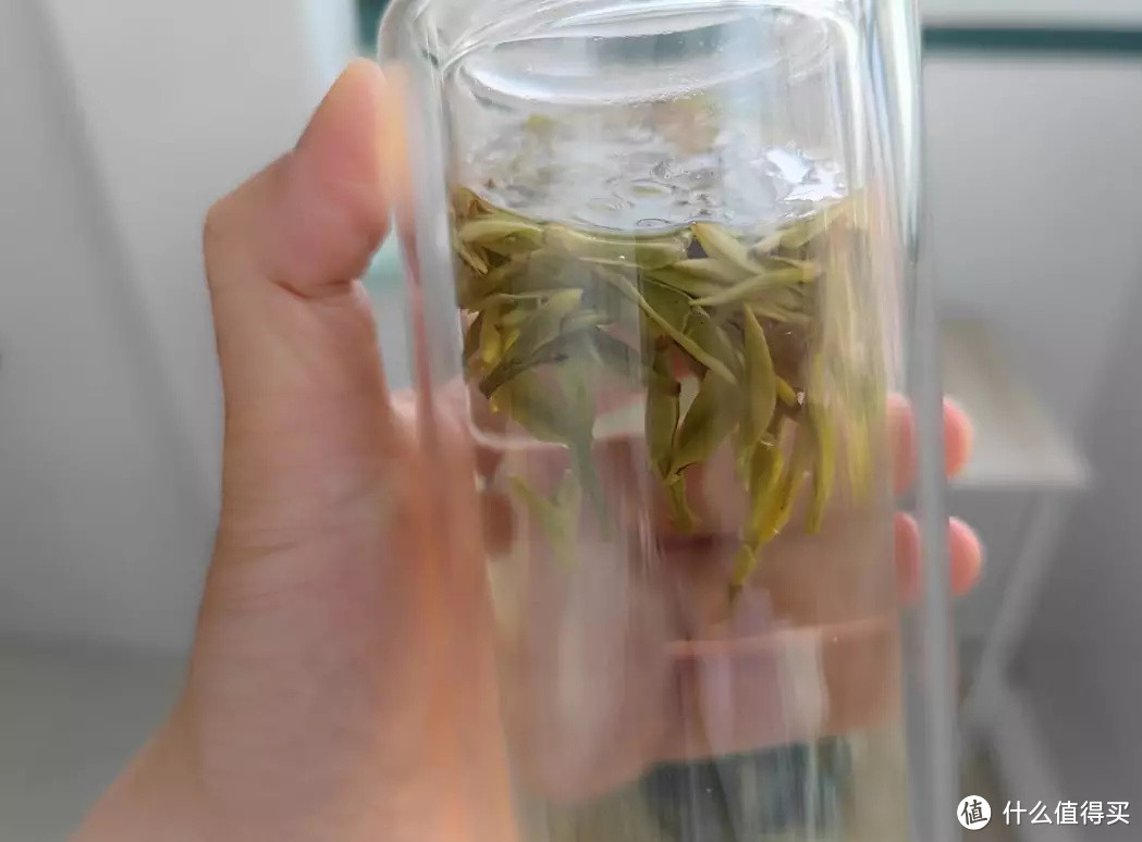 鹿岛会员店14.9元的绿茶是什么味道？买一包回来和大家分享冲泡体验
