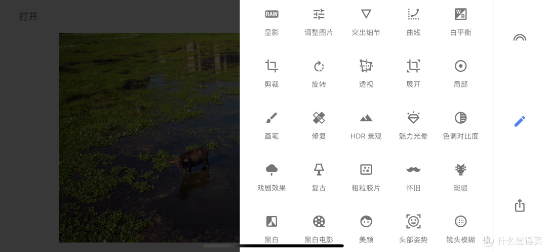 火爆朋友圈的“蓝眼泪”观影及拍摄指南,快去海边碰碰运气吧