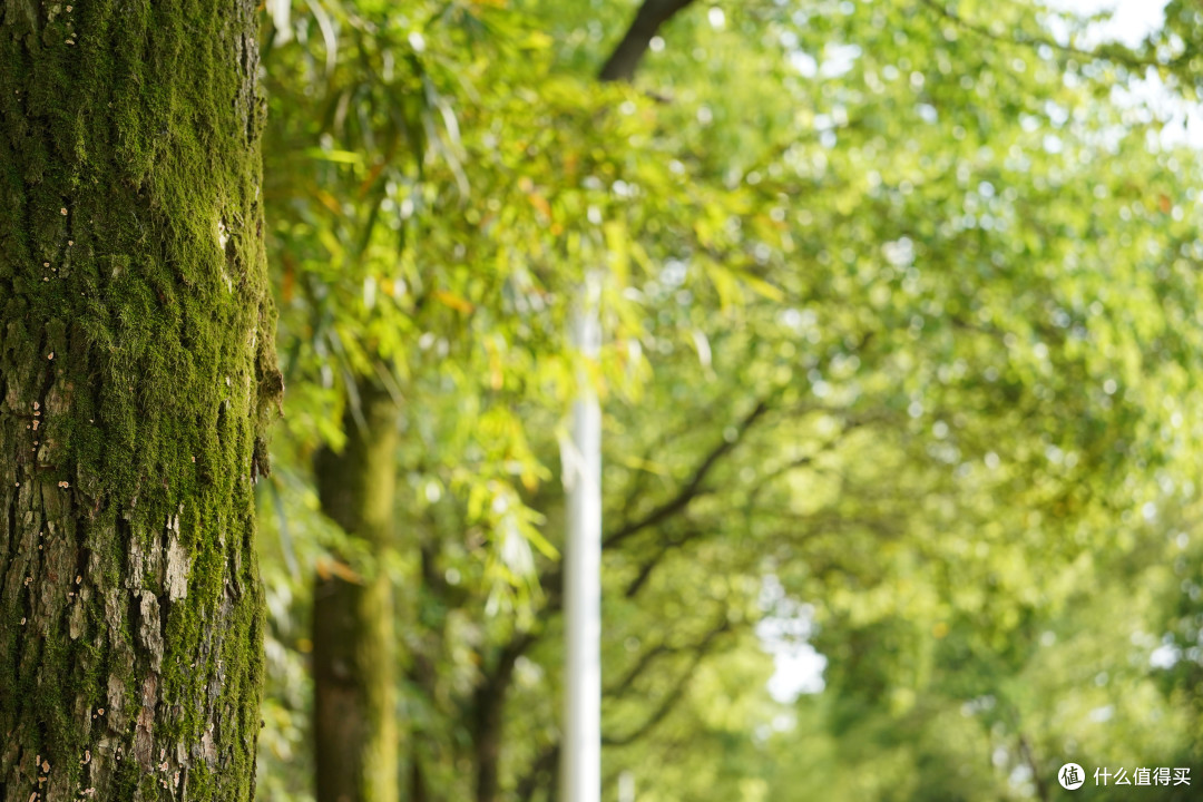 谁才是索尼全画幅狗王——28-60与28-70不严谨评测