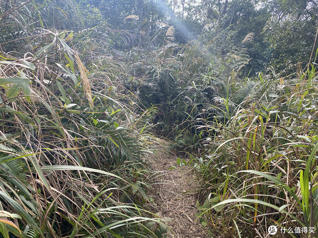 新年第一登——云雾山