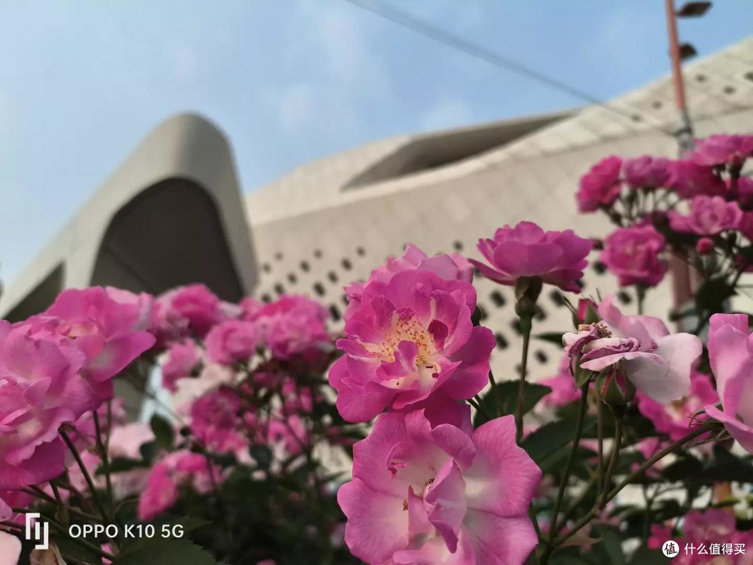 对 K 套装升级 OPPO K10 除了性价比之外还有什么惊喜?
