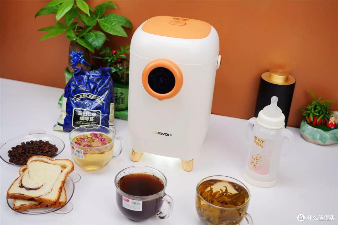 家庭生活必备佳品,大宇电热水瓶,让家人提升幸福感