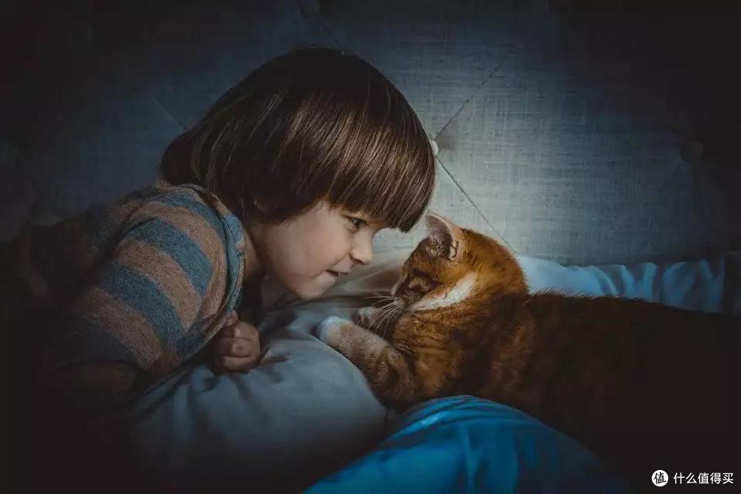 猫狗不停,除了猫狗,这些小可爱,你家的娃都养过了吗?