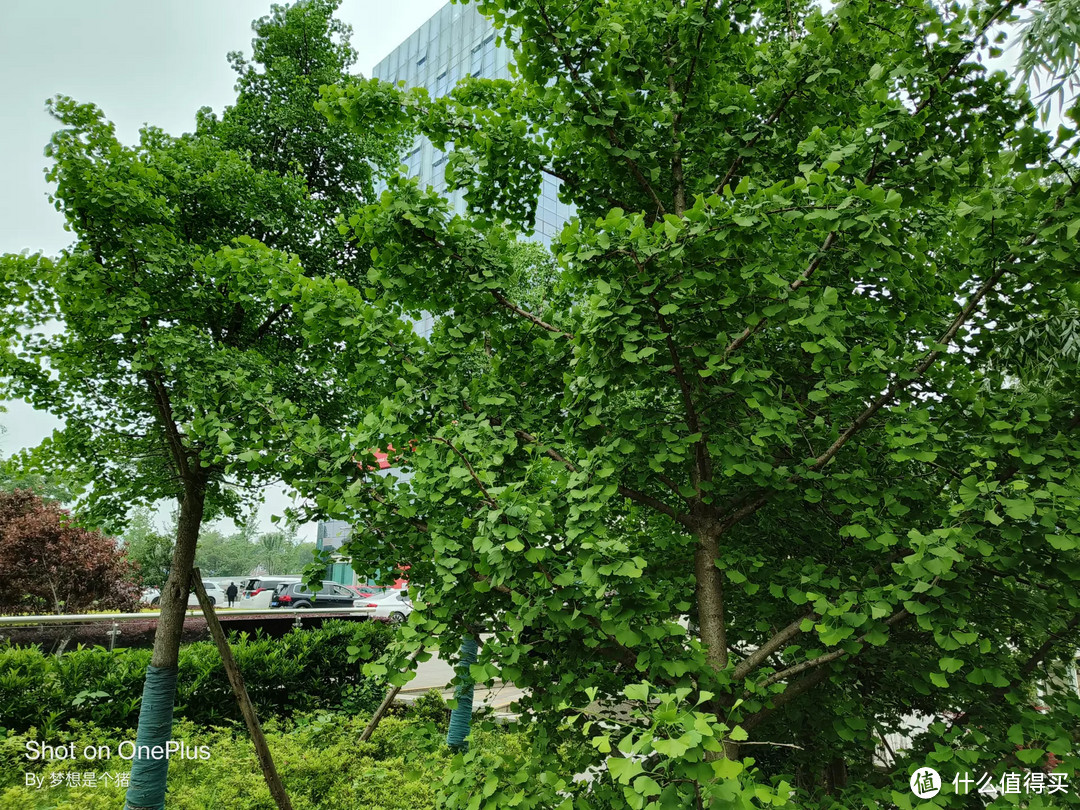 天玑8100+150W超级闪充,一加 Ace能不能撑起一加中端机型半边江山?