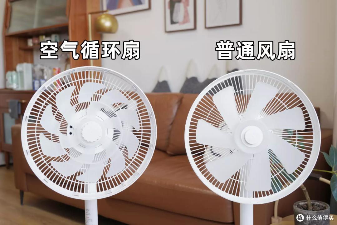 五一假期第一天,我凭借一款空气循环扇成功出圈了……