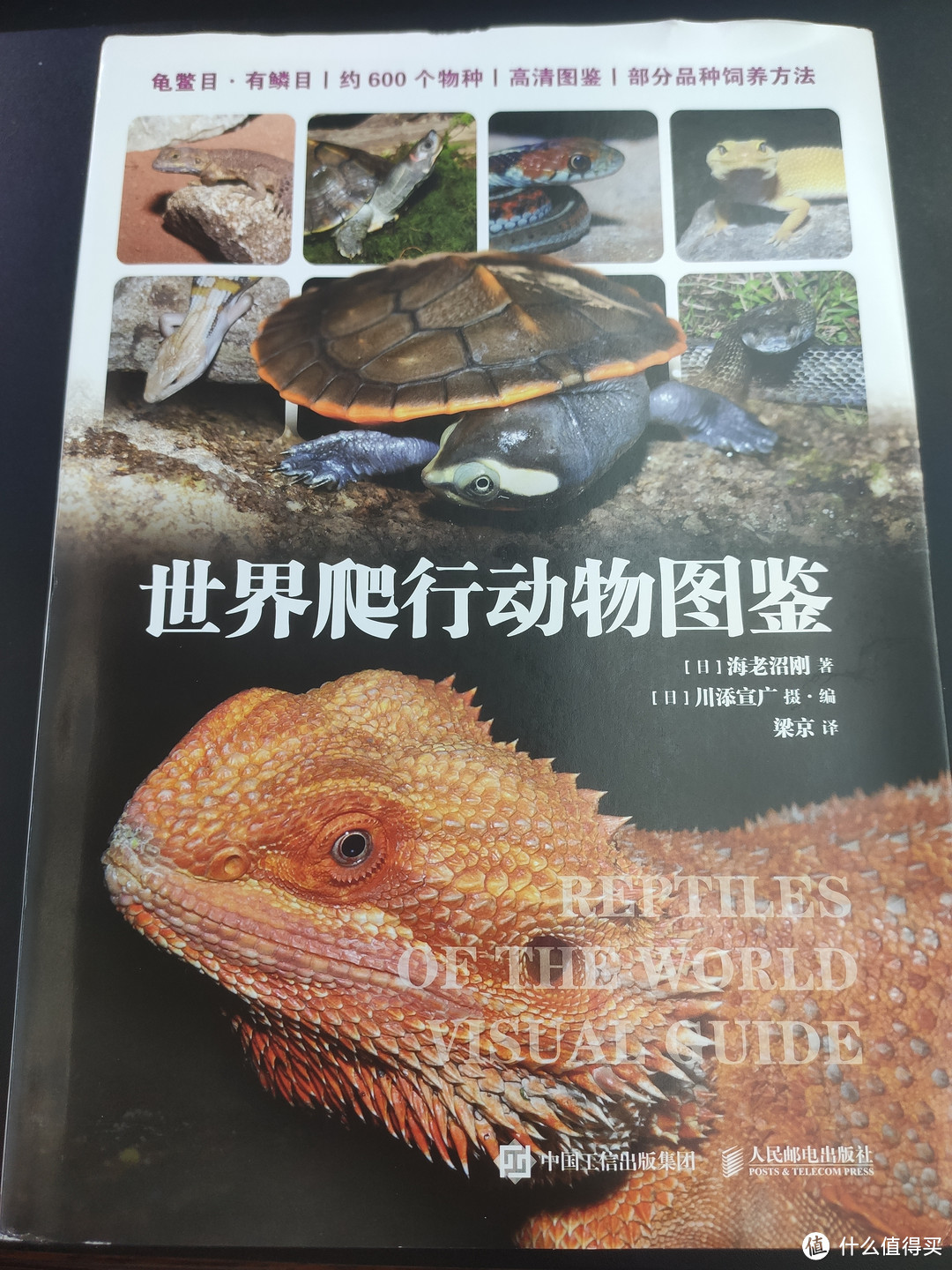 这是一本爬行类养殖手册