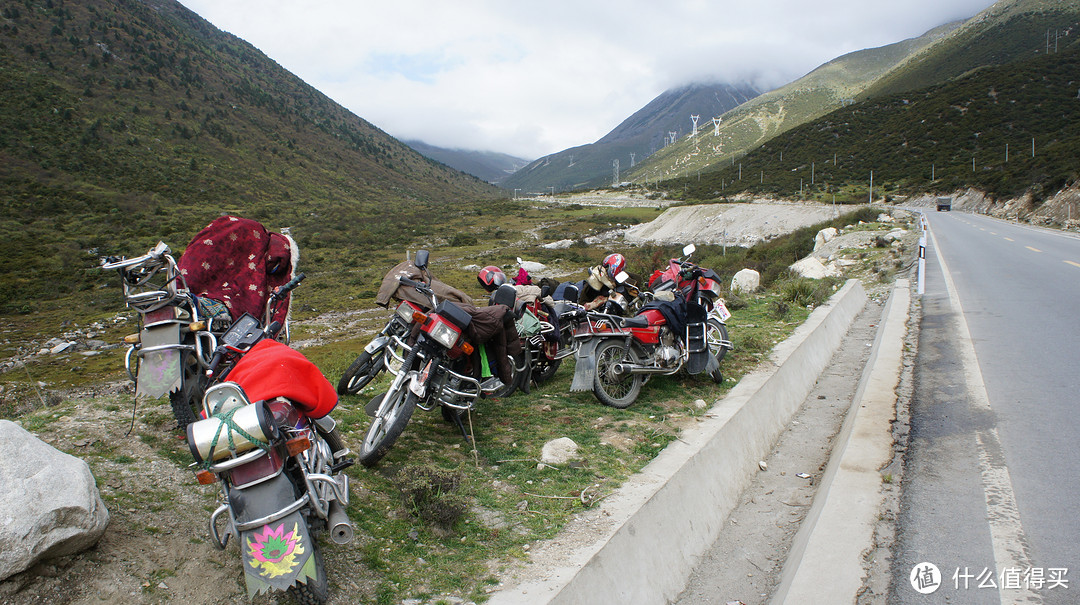 藏族同胞的坐骑