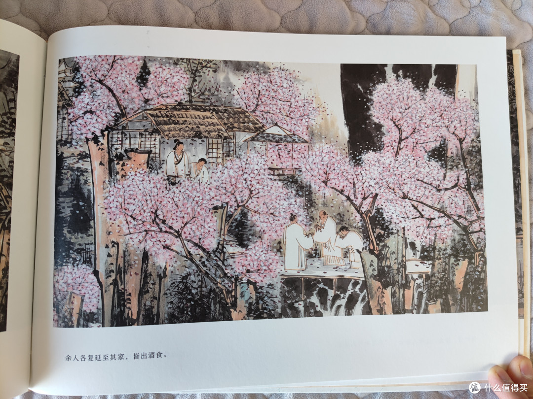山东画报出版社绘本《桃花源记》小晒