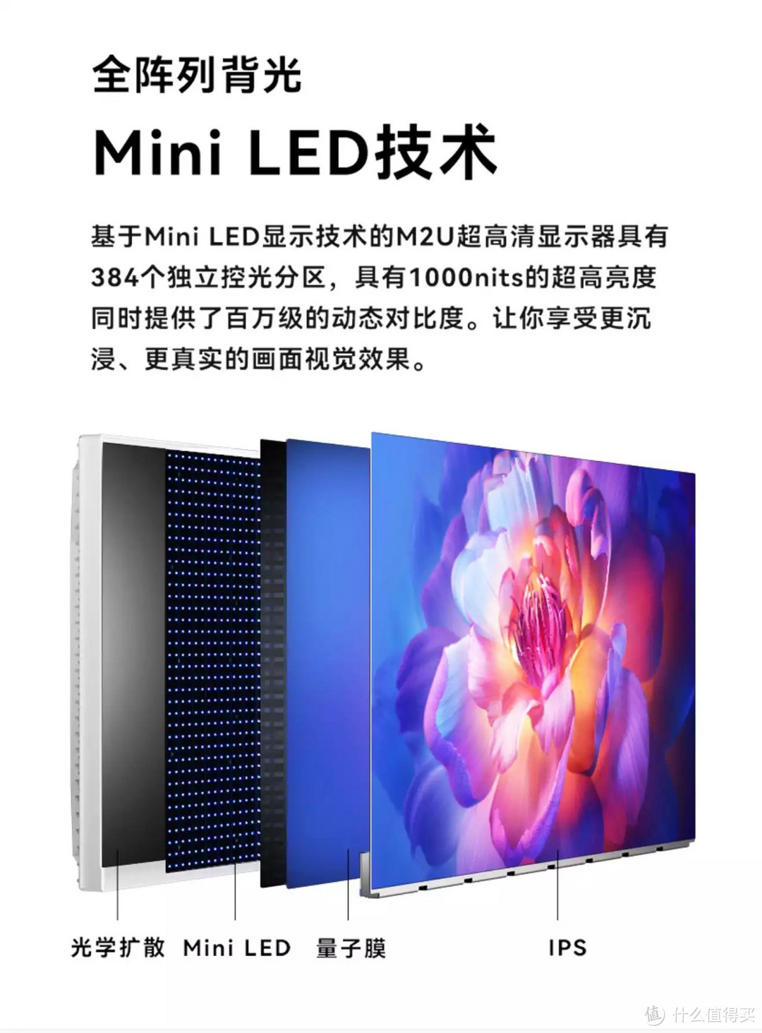 几乎不存在物理色差的专业体验：INNOCN 4K MiniLED美术显示器 M2U