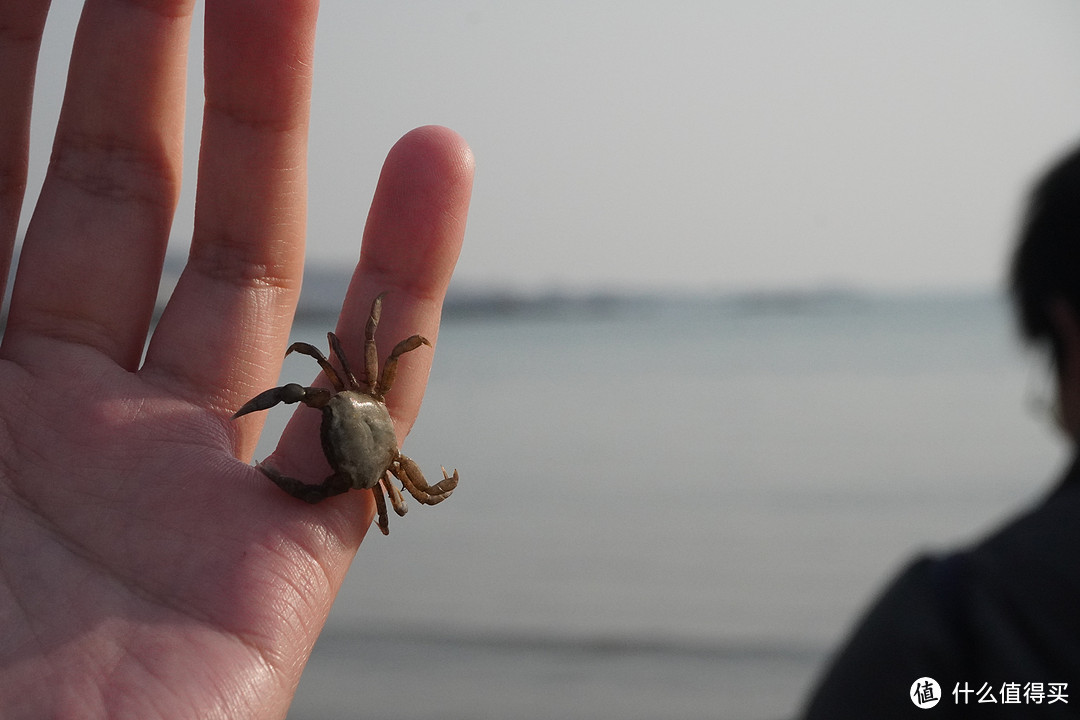 去海边不一定要去三亚，今年夏天的海边城市，我选它