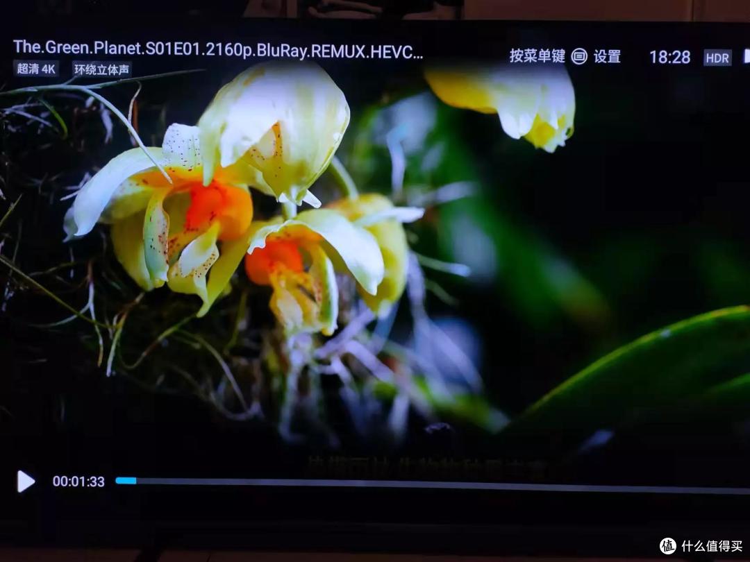 手机随手一拍