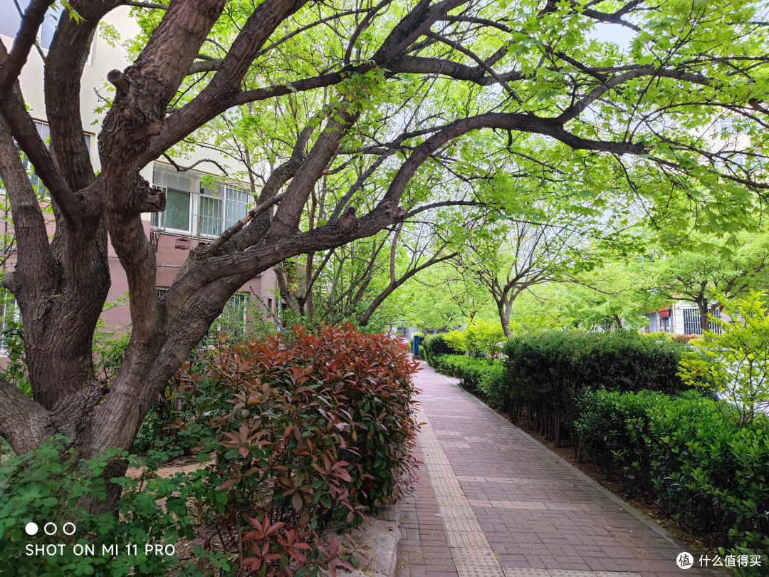 一年后入手小米11pro体验下来觉得这款手机还值得入手