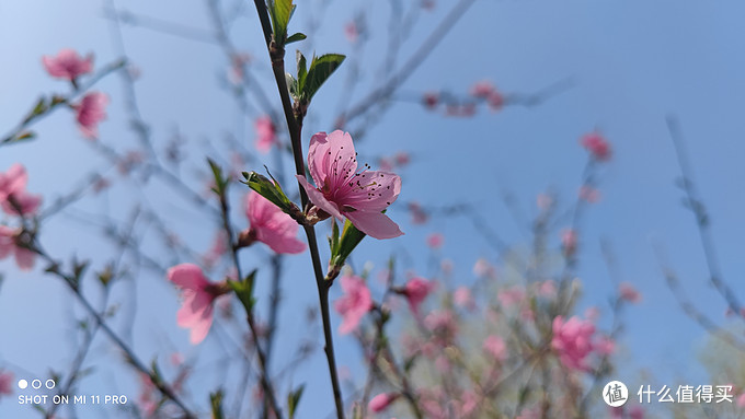 一年后入手小米11Pro，体验下来觉得这款手机还值得入手