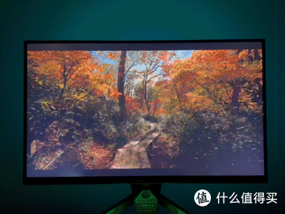 显示器怎么选？五大类实测，看完再买对了