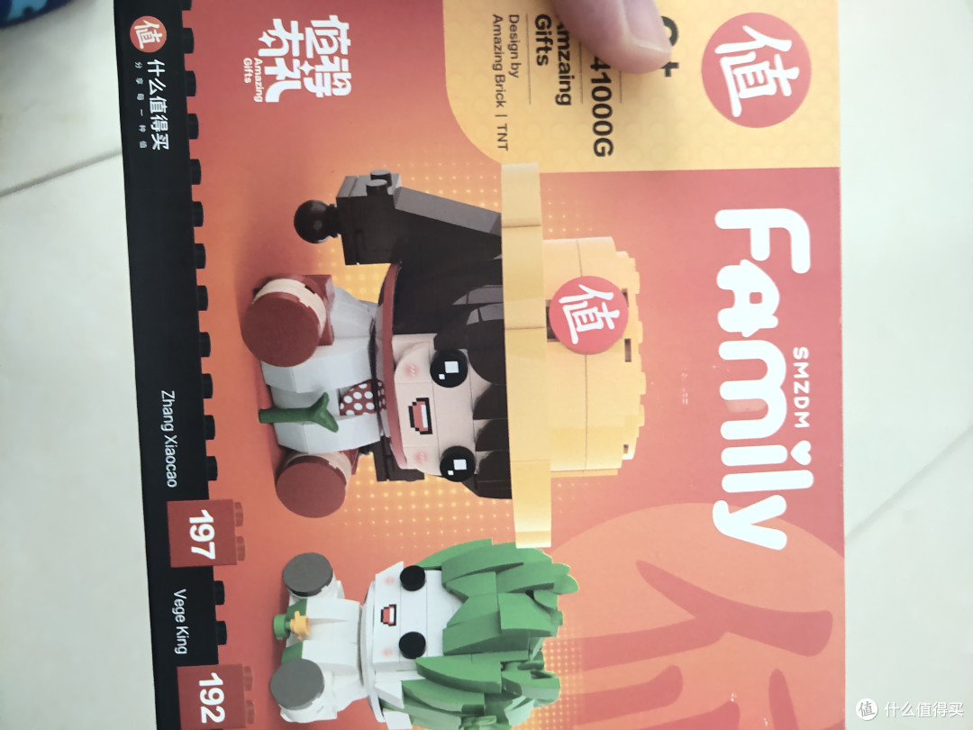 618快来了，收到了张大妈的礼物-张小草积木