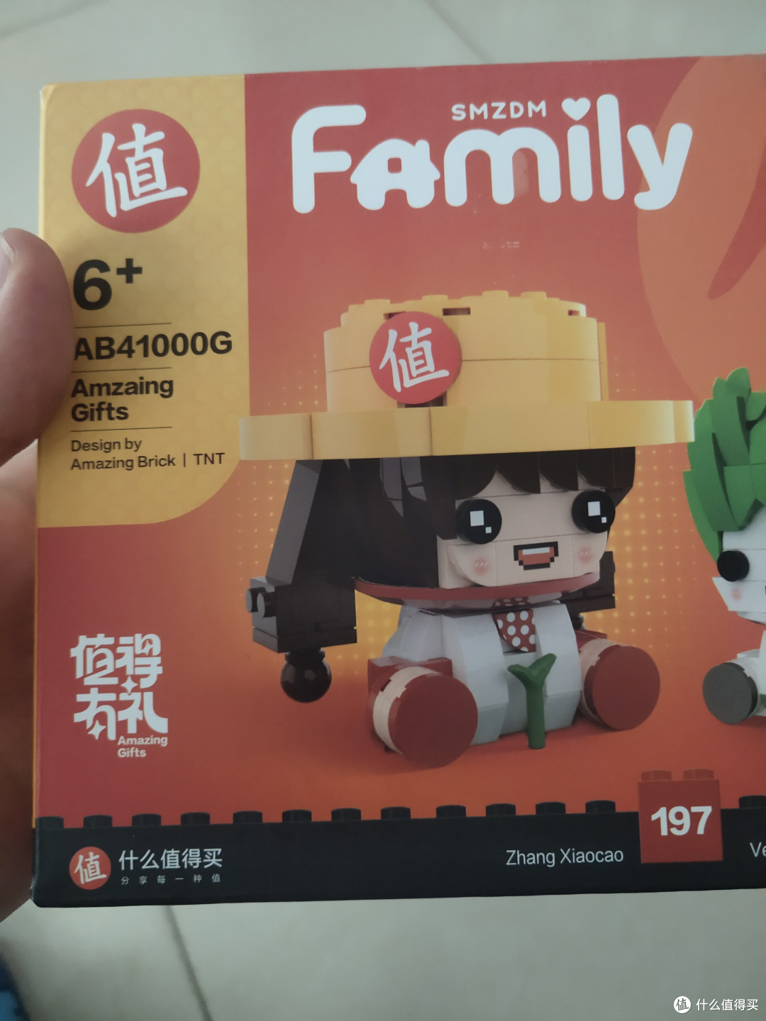 618快来了，收到了张大妈的礼物-张小草积木