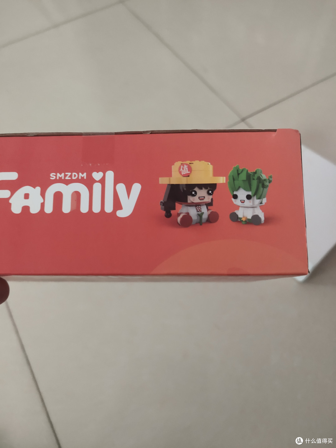 618快来了，收到了张大妈的礼物-张小草积木