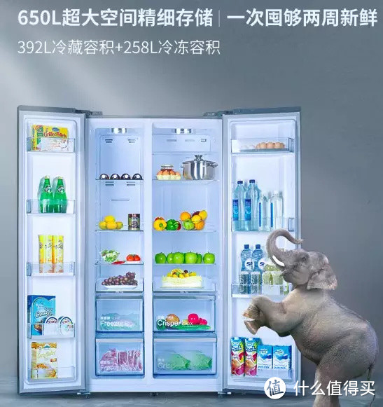 当未雨绸缪成为常态，冰箱就进入了大冷冻时代！冷冻容量XXL的十款冰箱推荐