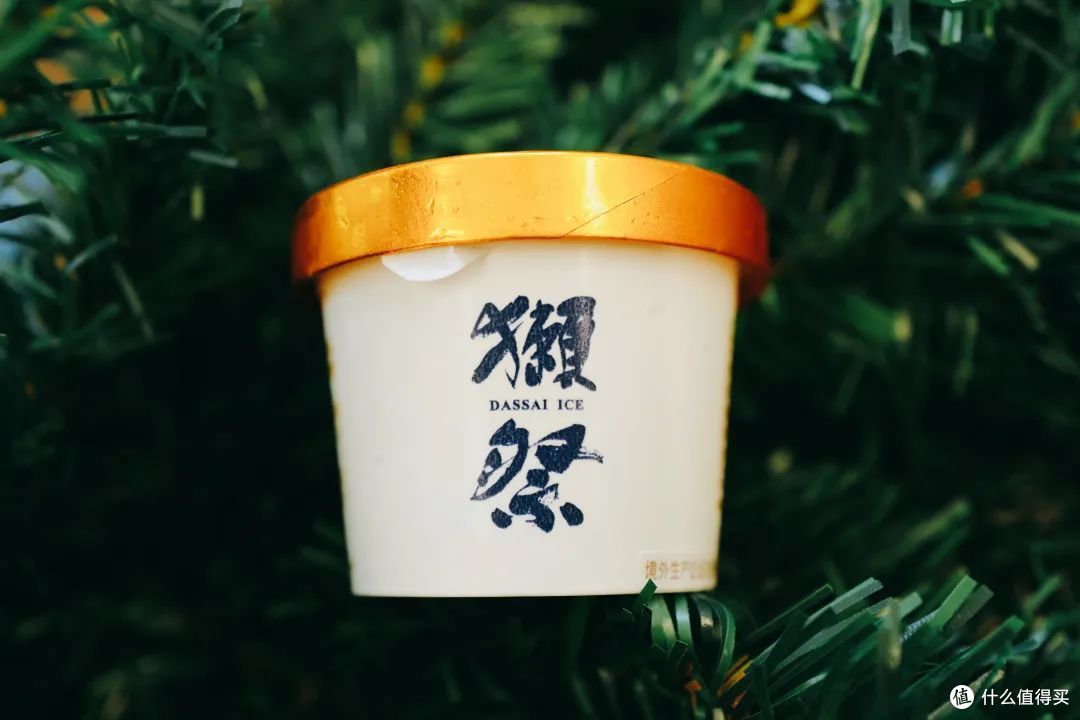夏日冰淇淋测评|试了20+款,这几支可以闭眼入!