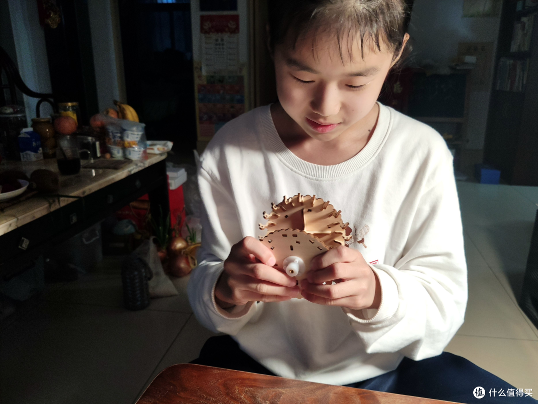 自己动手，快乐满满：体验当当狸旋转木马八音盒