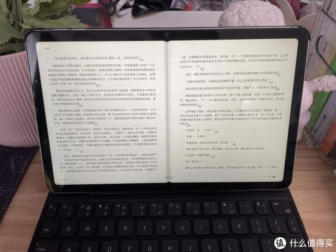 在玩乐中学习,小朋友的最爱,OPPO pad air平板电脑