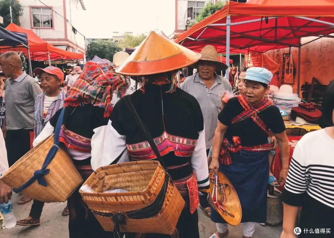 ▲图:毛毛