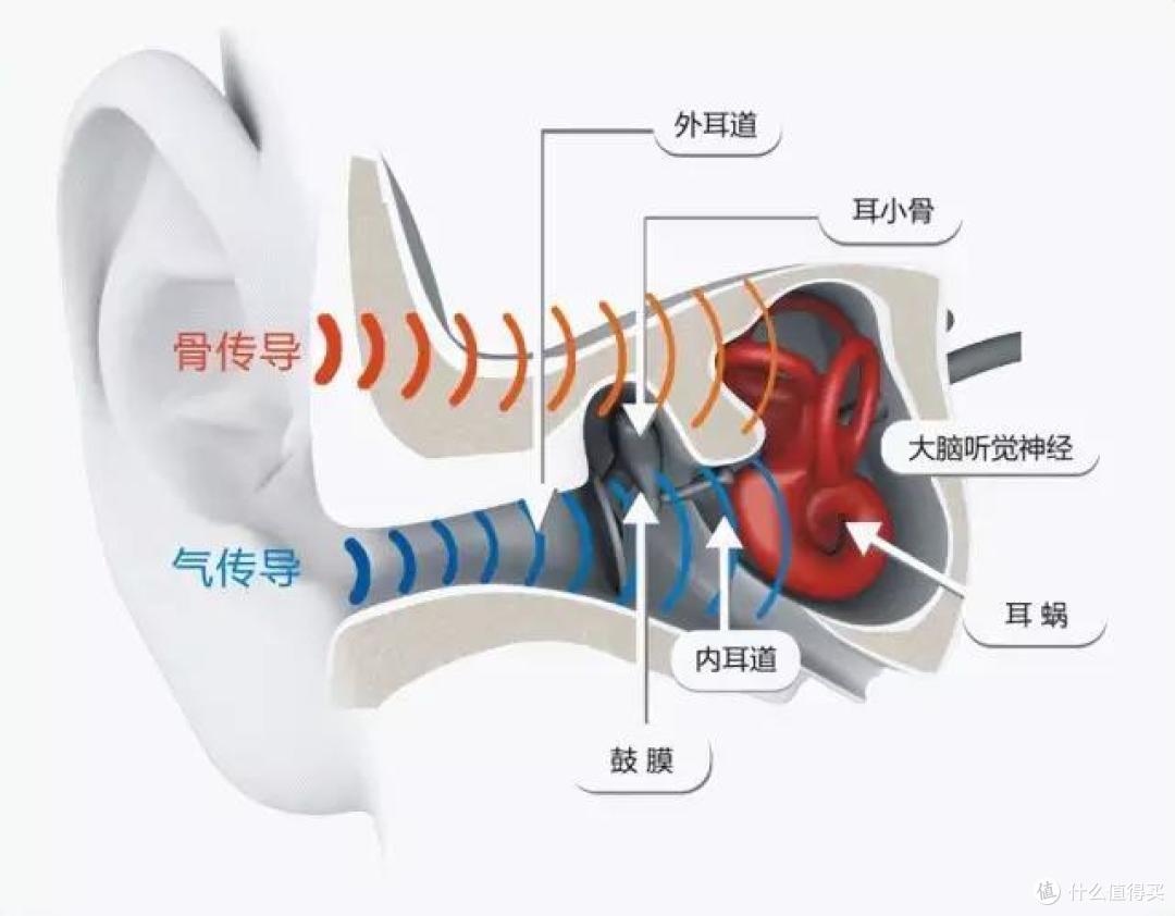 比骨传导耳机体验更好?sanag塞那气传导运动耳机为什么更值得买
