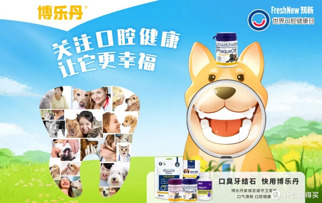「吉宠」创始人7问：坚持匠心优选，把更多安全、健康、领先的宠物食品引入中国