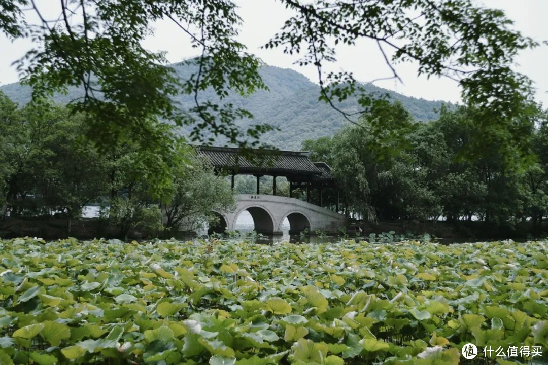 杭州不止西湖，本地人的秘密后花园是时候该火了！