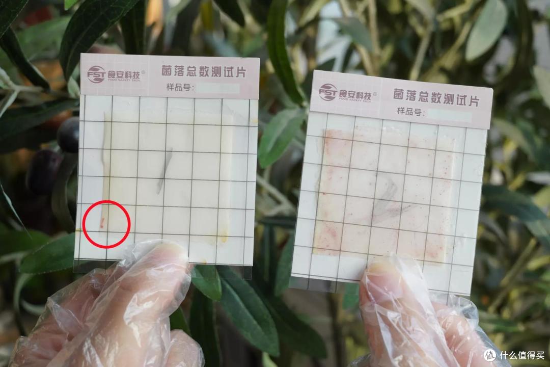 小户型也能拥有大冰箱的快乐！我囤的不是货，是安全感！