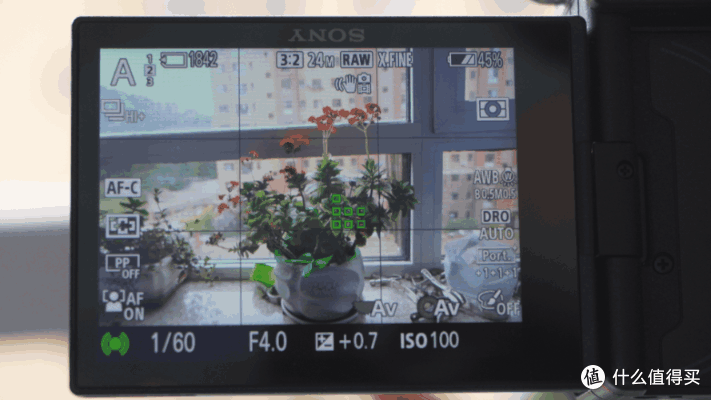 高速战未来!入手雷克沙1800X,聊聊相机储存卡那些事