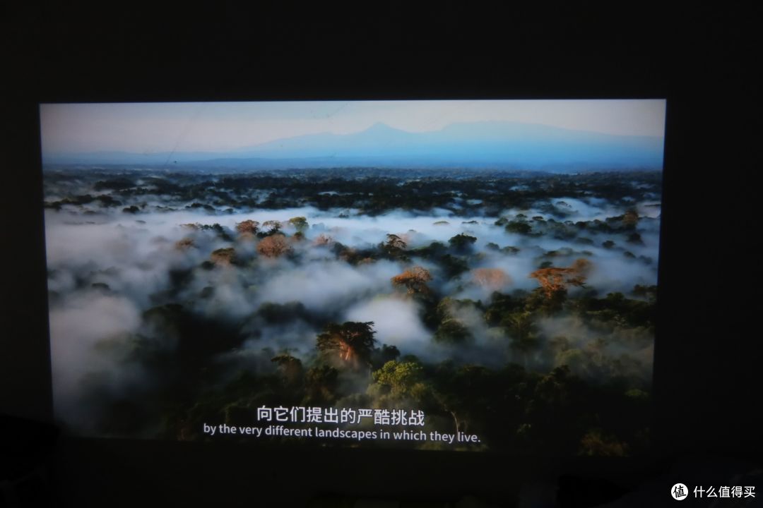 越级影音享受，知麻Z1投影仪体验