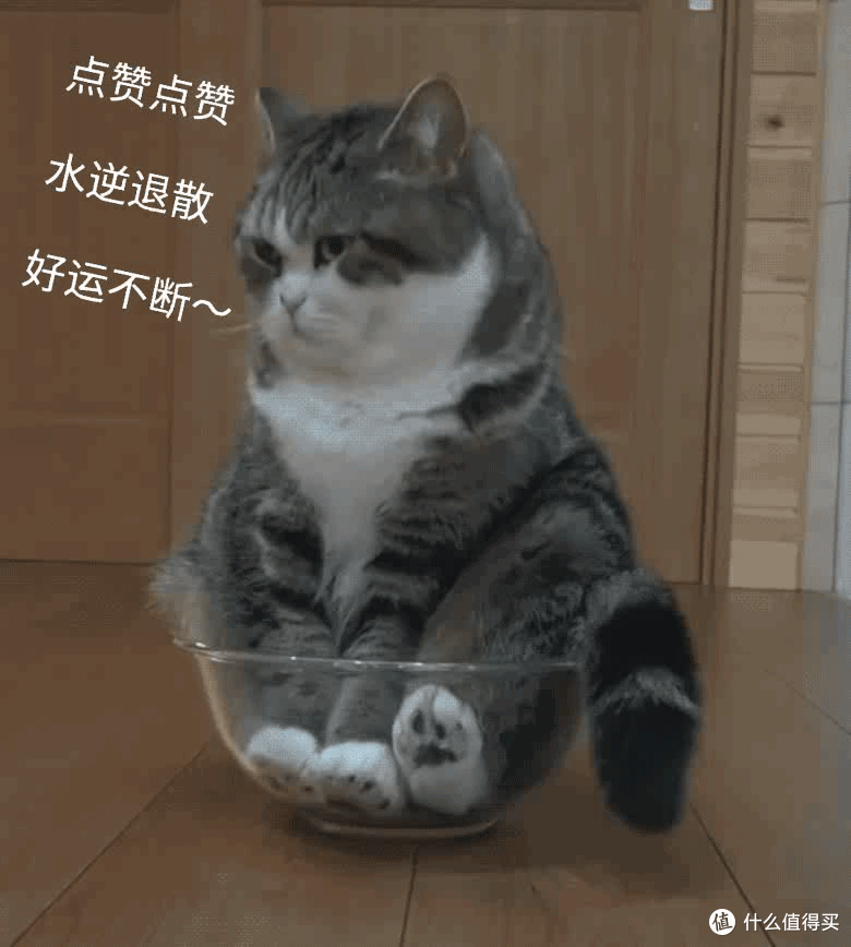 湖南的辣,是一种无语!辣不怕,怕不辣,还是不怕辣?向东棒棒萝卜条山剁椒脆萝卜干香辣下饭小菜咸菜开