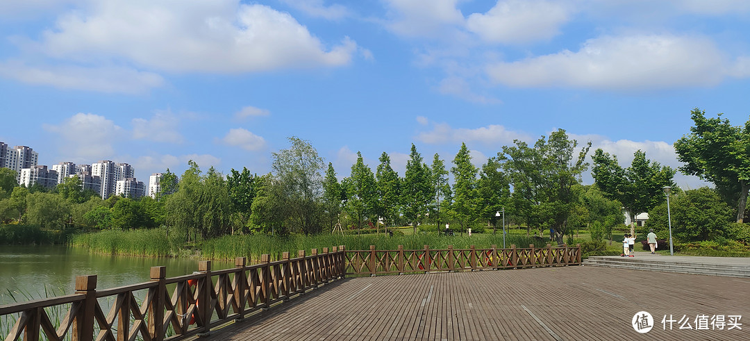 滴翠园/幼一公园，一个隐藏在闵行和徐汇之间的秘密园林/可以做核酸的地方/钓鱼风筝遛娃滑冰骑行好去处