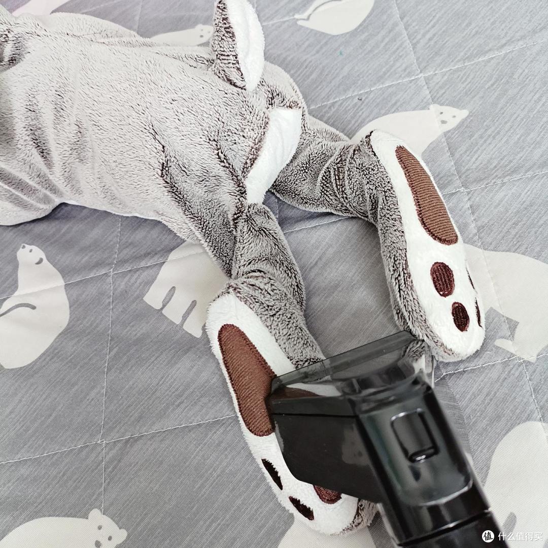 布艺清洗机是智商税吗，真实实测告诉你真香体验