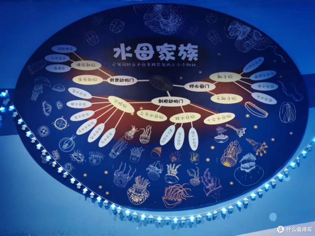 去上海海昌海洋馆,寻找那些可爱的动物宝宝们