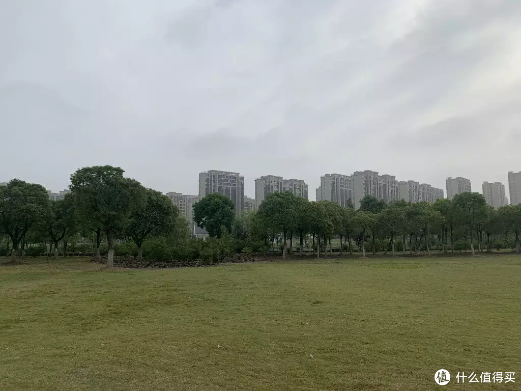 说走就走的夜间露营，打卡了上海这个湿地公园