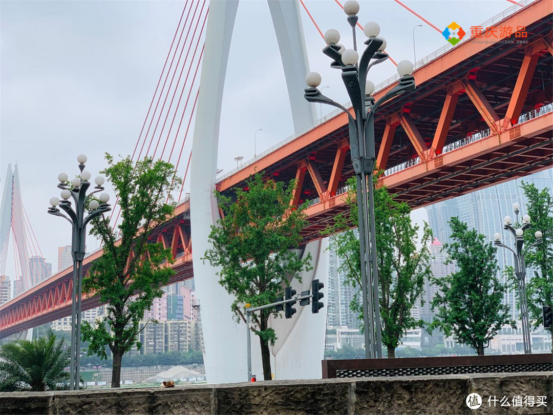 庆祝重庆直辖25周年：这些地标建筑，带你回顾山城的前世今生