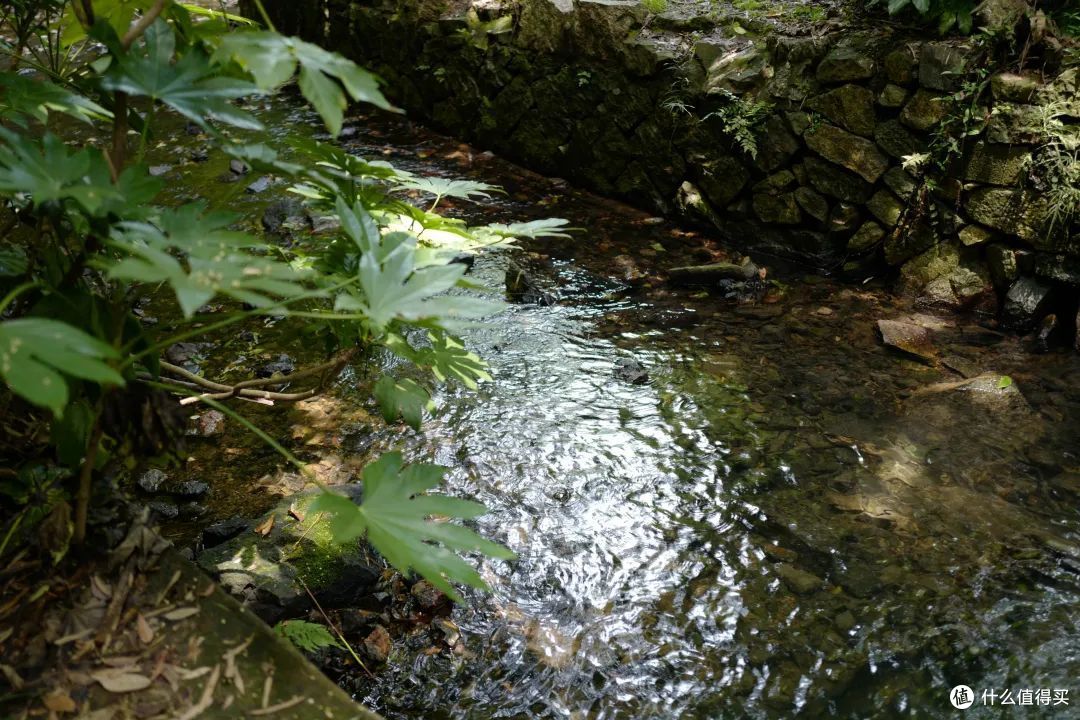戏水纳凉、抓鱼捉虾,夏天玩水才是正经事啊!