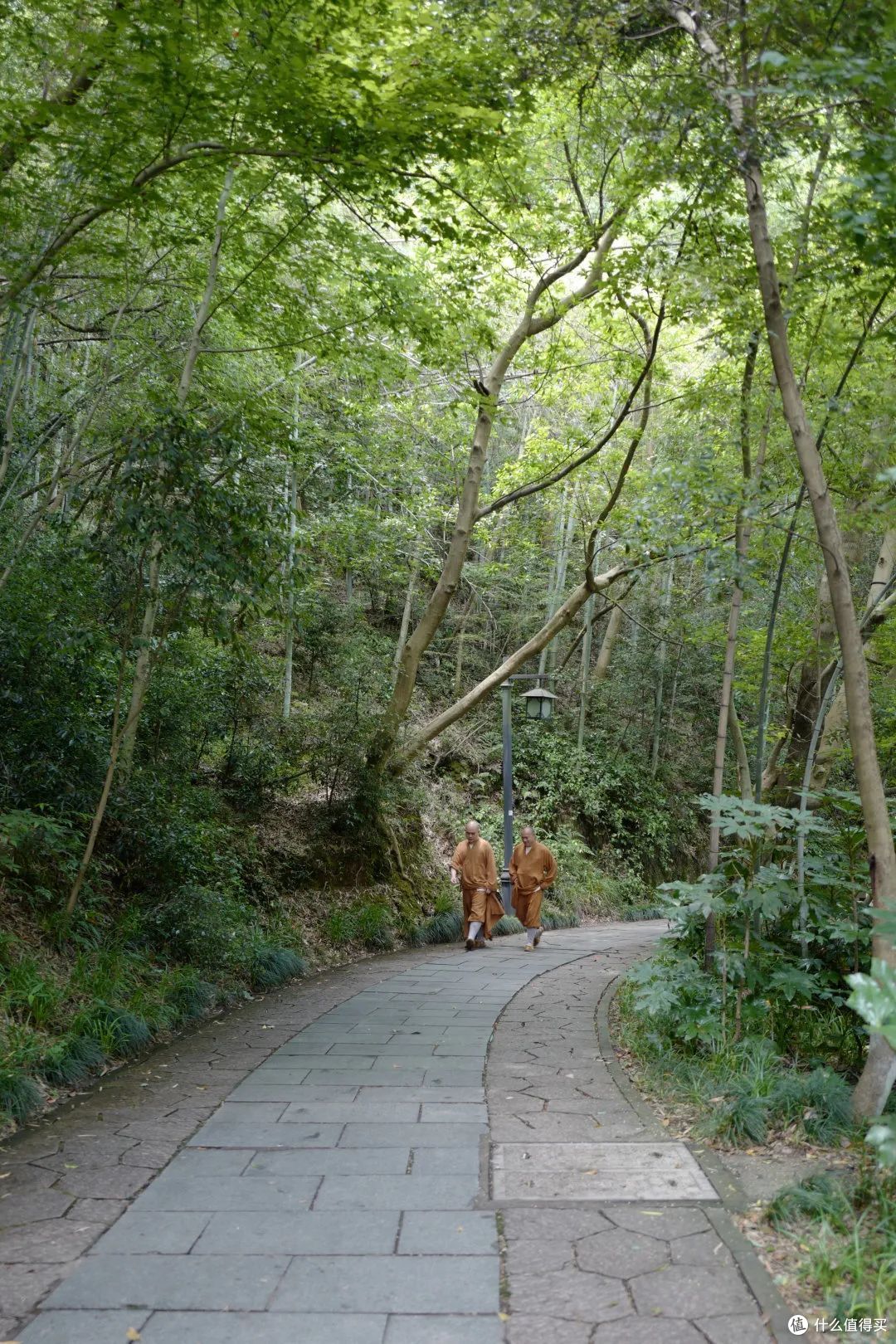 戏水纳凉、抓鱼捉虾,夏天玩水才是正经事啊!