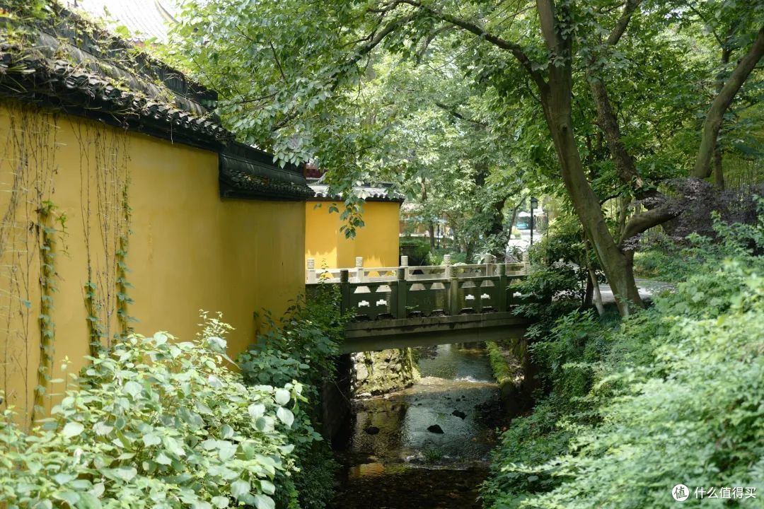 戏水纳凉、抓鱼捉虾,夏天玩水才是正经事啊!