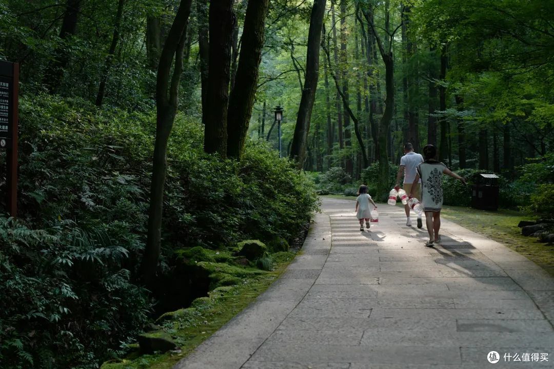 戏水纳凉、抓鱼捉虾,夏天玩水才是正经事啊!