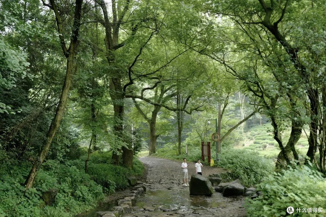 戏水纳凉、抓鱼捉虾,夏天玩水才是正经事啊!