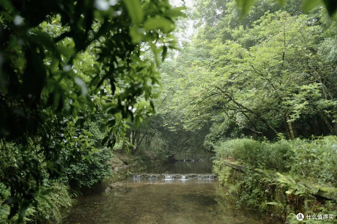 戏水纳凉、抓鱼捉虾,夏天玩水才是正经事啊!