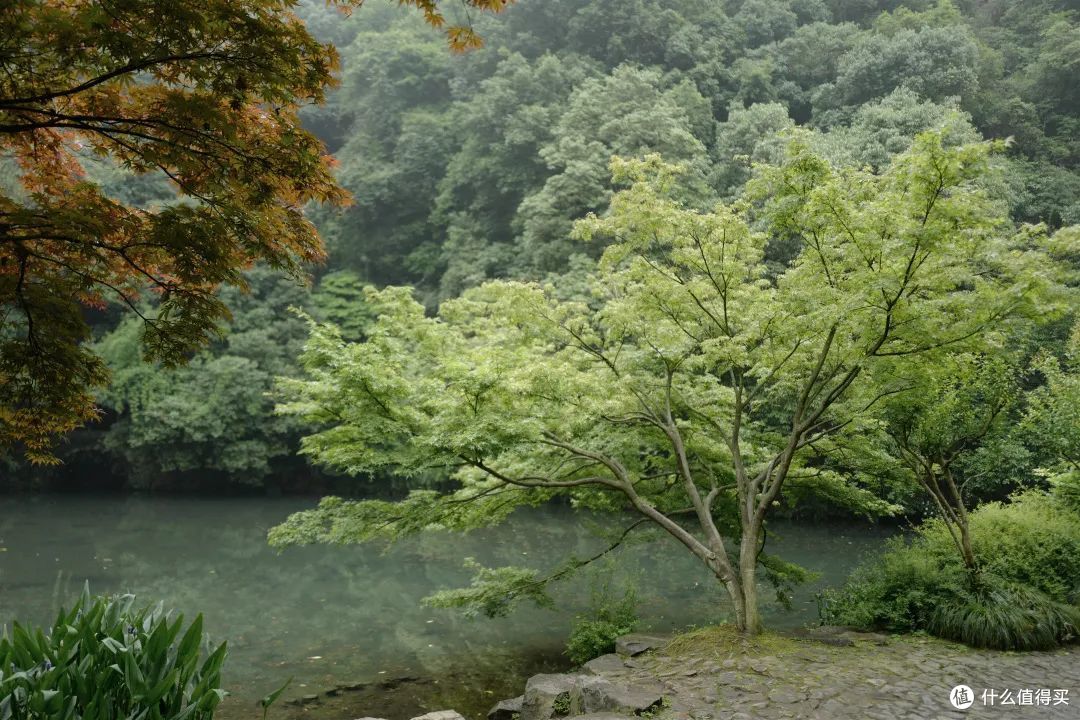 戏水纳凉、抓鱼捉虾,夏天玩水才是正经事啊!