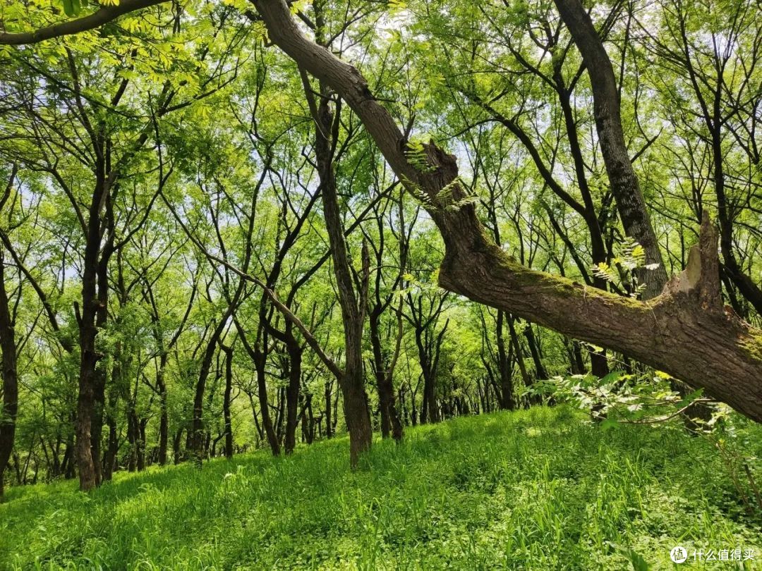 戏水纳凉、抓鱼捉虾,夏天玩水才是正经事啊!