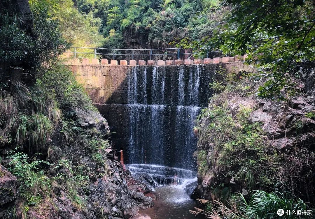 戏水纳凉、抓鱼捉虾,夏天玩水才是正经事啊!